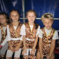 Cirkus